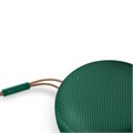 Портативная колонка Bang & Olufsen Beosound A1 2nd Gen Green 2735 - фото 11353
