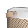Портативная акустика Bang & Olufsen BeoLit 20 Grey Mist 2756 - фото 11514