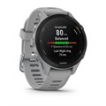 Garmin Forerunner 255S со светло-серым ремешком 010-02641-12