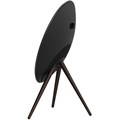Портативная колонка Bang & Olufsen Beosound A9 5th Gen Black Anthracite 2333 - фото 9073 Портативная колонка Bang & Olufsen Beosound A9 5th Gen Black Anthracite 2333 - фото 9073