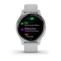 Умные часы Garmin Venu 2S серебристые  010-02429-12 2346 - фото 9189